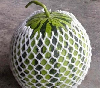 Malla para Melón y Sandía
